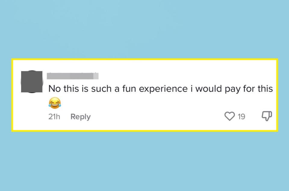 comment saying "no this is such a fun experience i would pay for this" with a laughing emoji