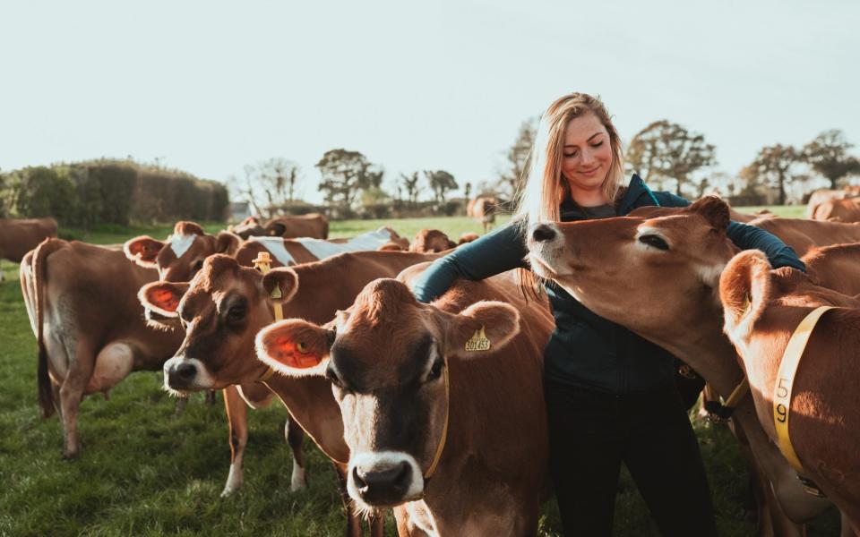 A farmer in a field with cows - Digital Vision