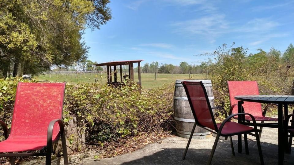 19) Louisiana: Pontchartrain Vineyards