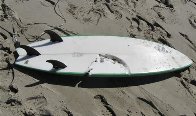 This photo released by the Santa Barbara County Sheriff's Department shows the surfboard being ridden by 39-year-old surfer Francisco Javier Solorio Jr., who was fatally attacked by a shark Tuesday, Oct. 23, 2012. An expert has determined that Solorio was killed by a 15- to 16-foot great white shark, according to Ralph Collier of the Shark Research Committee. He was bitten in the upper torso in the waters off Surf Beach on Vandenberg Air Force Base in Santa Barbara County and died at the scene despite a friend's efforts to save him. (AP Photo/Santa Barbara County Sheriff)