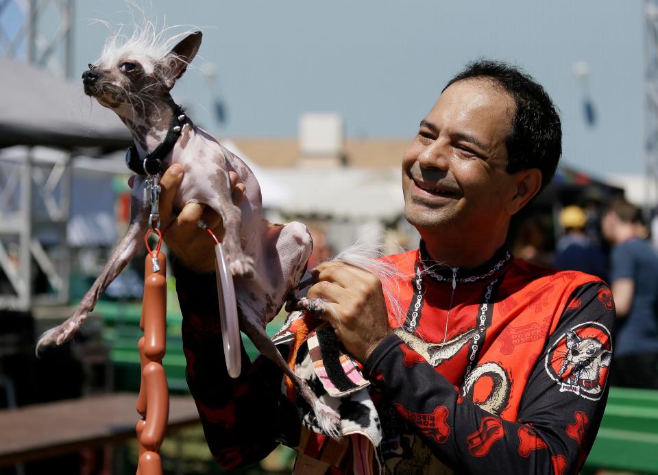 Dane Andrew of Sunnyvale, Calif., holds up his dog, Rascal, a Chinese crested - Credit: Eric Risberg/AP 