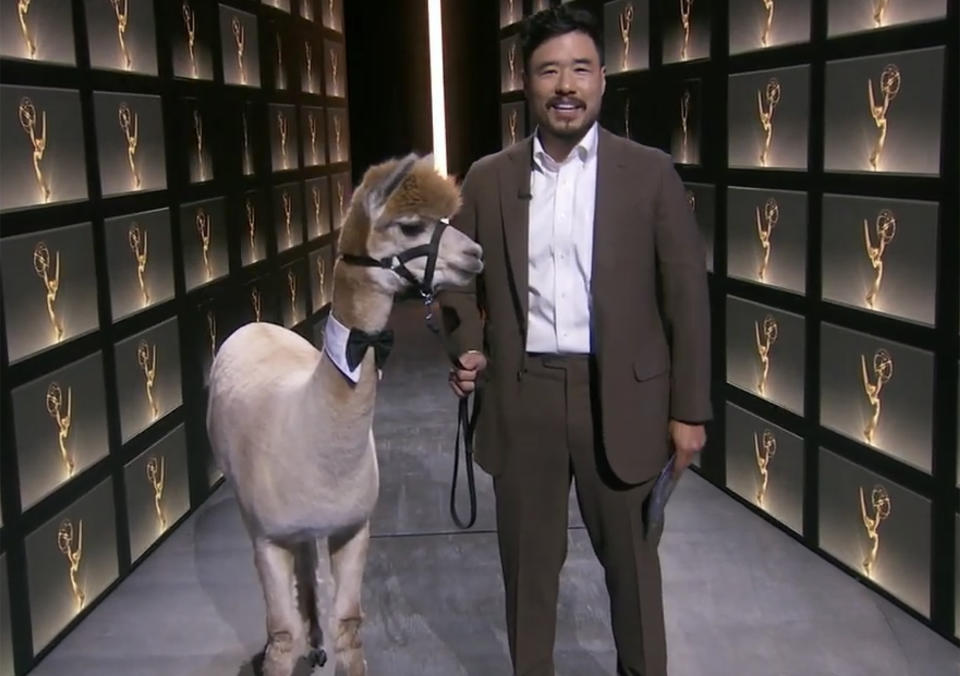 Randall Park Walked Out With an Alpaca