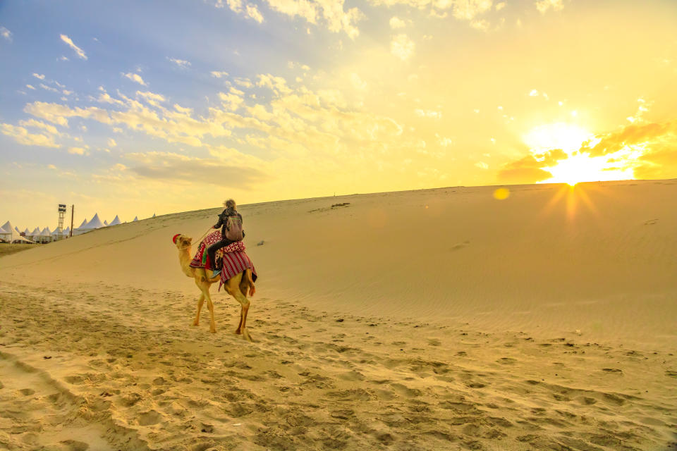 Desert safari in Qatar. Traveler man ride a camel on sand dunes of beach at Khor al Udaid in Persian Gulf. Tourist enjoys camel ride at sunset sunrays, a popular tour in Middle East, Arabian Peninsula