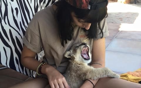 Beth Jennings with a lion cub - Credit: Courtesy of Beth Jennings