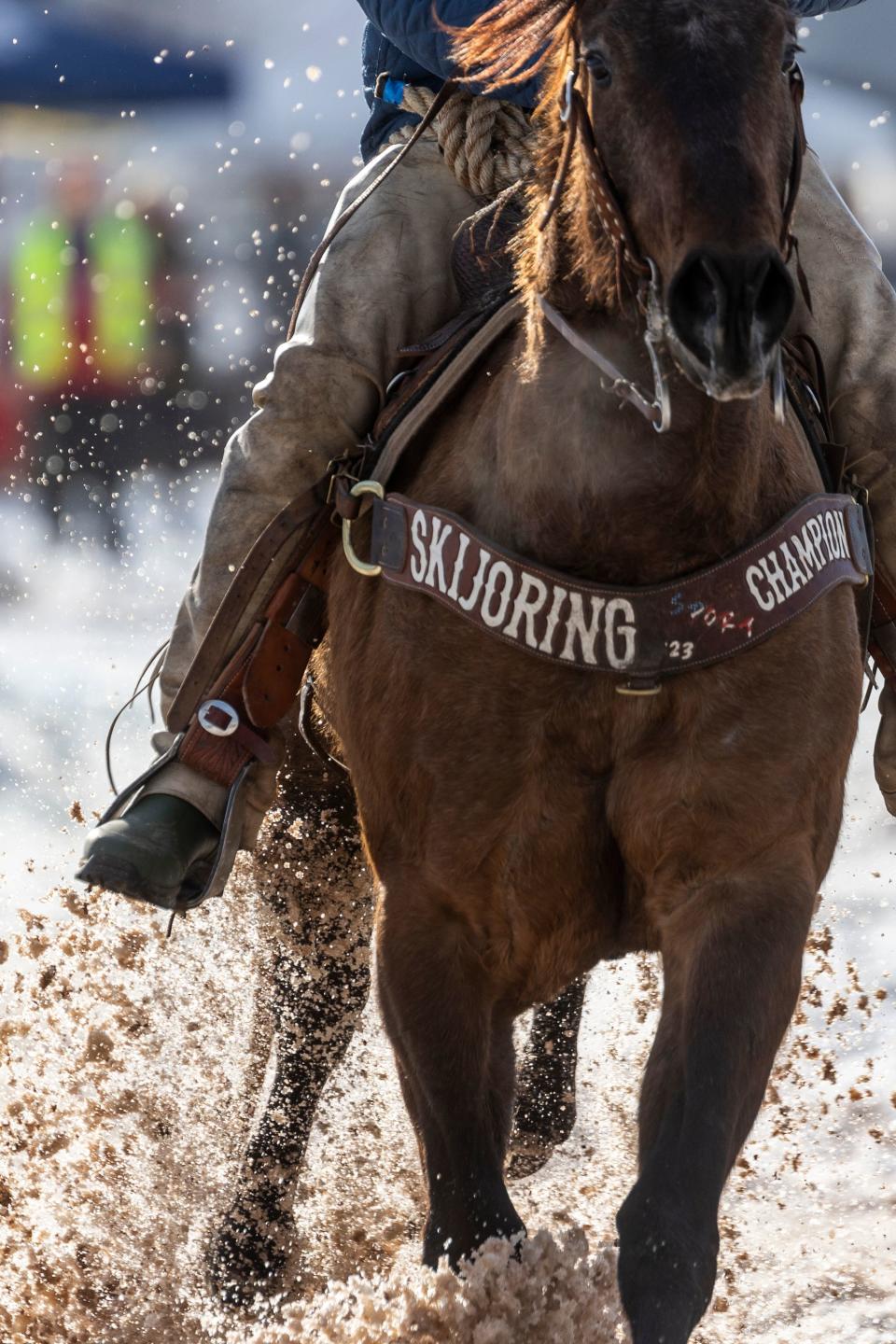 Clayson Hutchings rides his horse down the course pulling a skier during the 2024 Utah Skijoring competition at the Wasatch County Event Complex in Heber City on Saturday, Feb. 17, 2024. | Marielle Scott, Deseret News