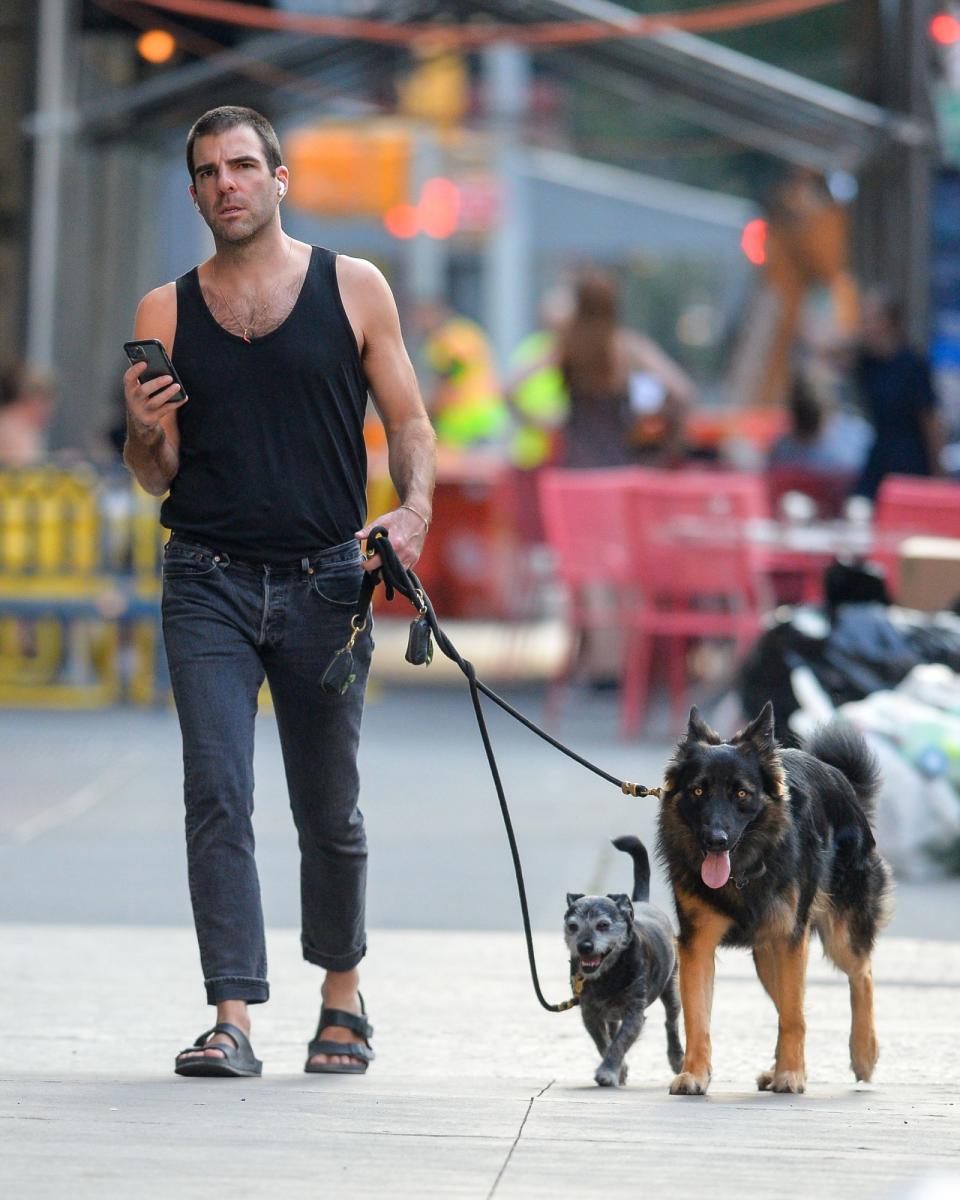 <p>Zachary Quinto walk his dogs in downtown N.Y.C. on July 27. </p>