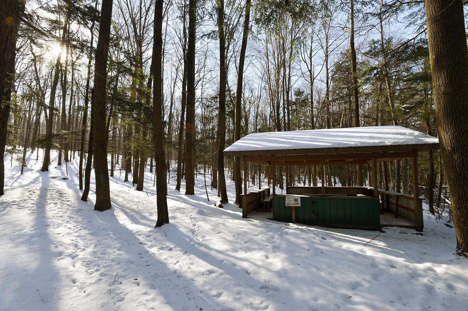 Sunlight shines through the trees near an outdoor classroom at Headwaters Park in Millcreek Township.