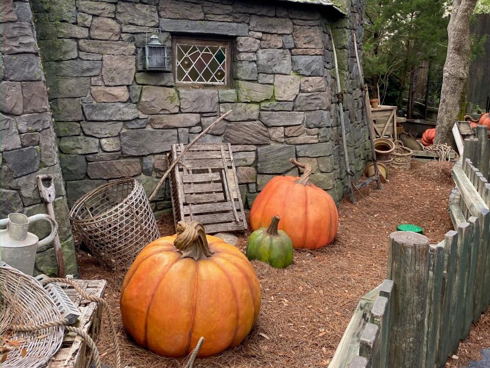 shot of the pumpkin patch outside hagrid's shack in universal's wizarding world of Harry Potter