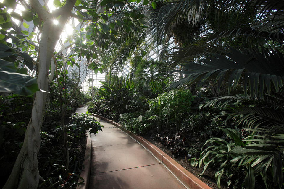 The Garfield Park Conservatory (John Gress / Corbis via Getty Images)