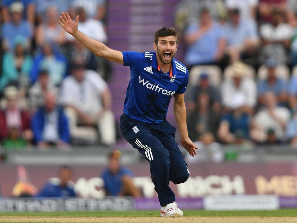 The technology helped decide whether Mark Wood was fit enough to play (Getty)