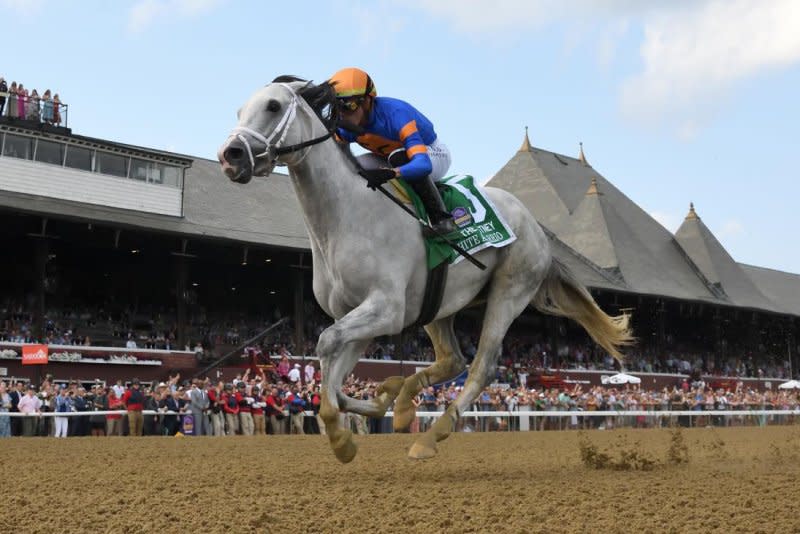 White Abarrio is shown winning the Grade I Whitney at Saratoga, earning a spot in the Breeders' Cup Classic. Coglianese Photography, courtesy of New York Racing Association