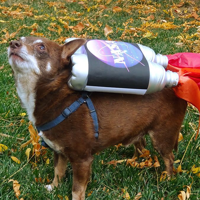 Rocket Dog Costume