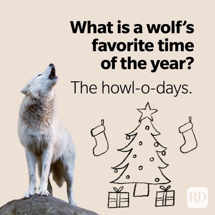 Wolf Puns Howl O Days