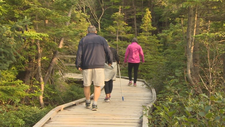 Volunteers comb Mount Pearl's trails in search of missing man