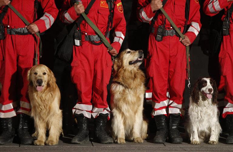 Chinese search and rescue personnel with their search dogs prepare to head to Nepal from Beijing