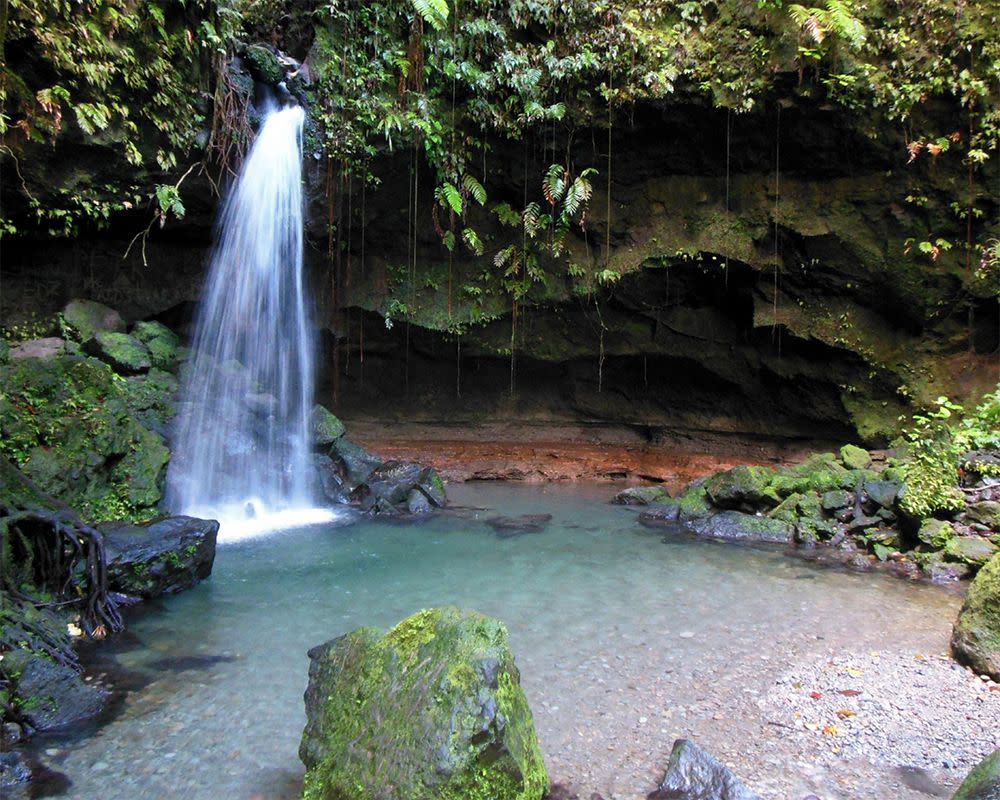 Emerald Pool, Morne Trois Pitons National Park, Dominica