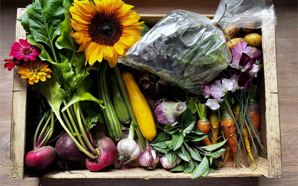 A veg box from Cam Wheeler's market garden, Five Rod Farm