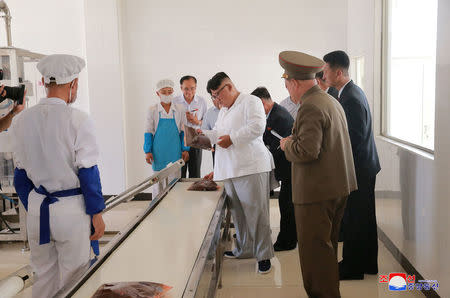 North Korean leader Kim Jong Un inspects 525 factory in this undated photo released by North Korea's Korean Central News Agency (KCNA) on July 24, 2018. KCNA via REUTERS