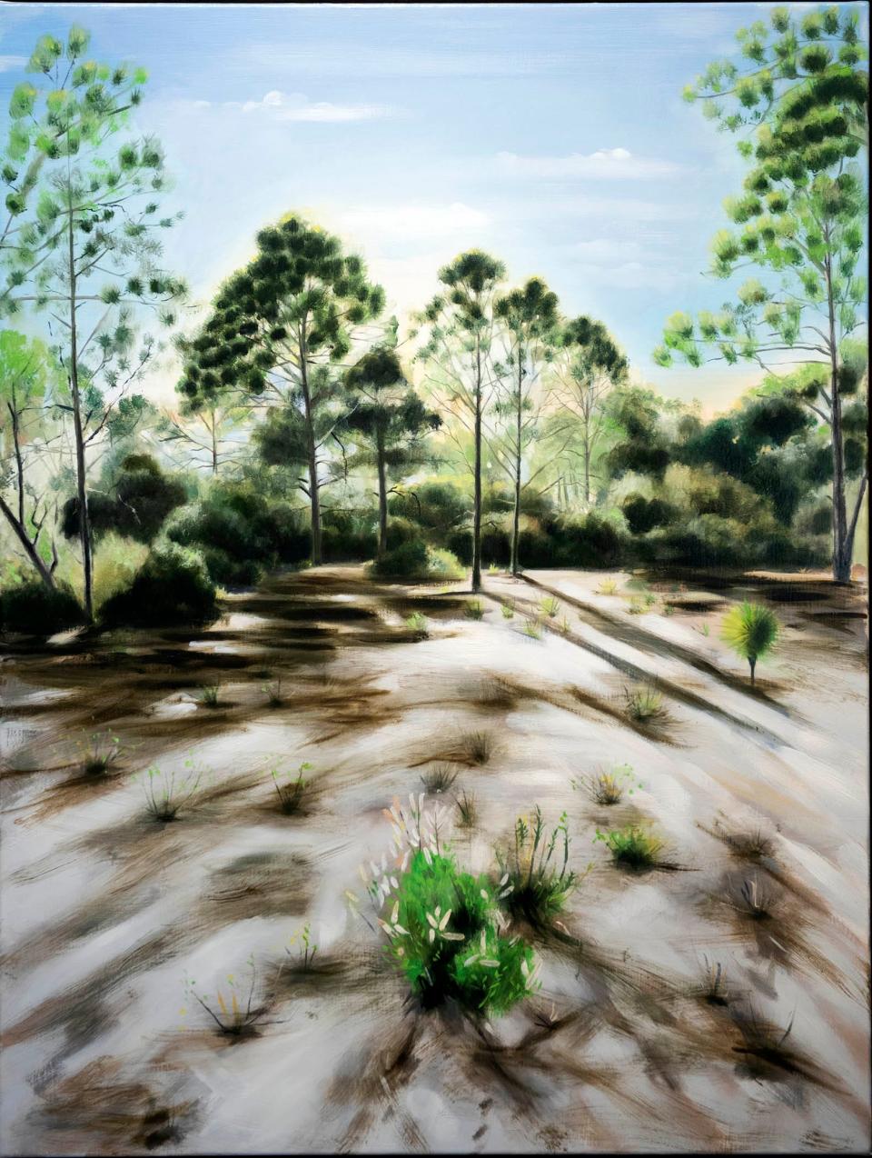 This untitled painting of the Hypoluxo Scrub by Paul Gervais highlights the sandy ground and shadows in the natural area.