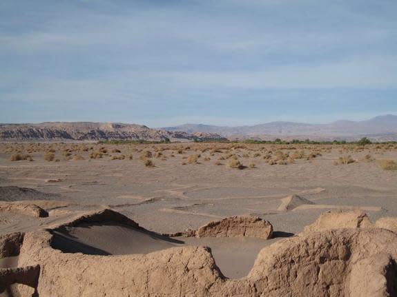 The Chilean mummies were in good condition, preserved naturally from the high temperatures, extreme dryness and high soil salinity in the Atacama Desert (shown here).