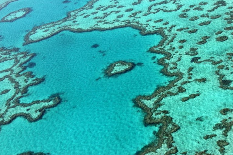 The decision by the United Nations Educational, Scientific and Cultural Organisation will see the reef -- a major tourist attraction off the Queensland coast -- remain under surveillance but not listed as endangered