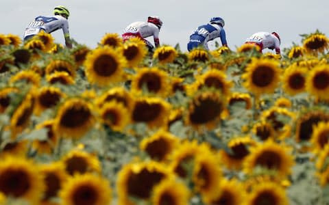 Tour de France 2019, stage 11 – live updates - Credit: REX FEATURES