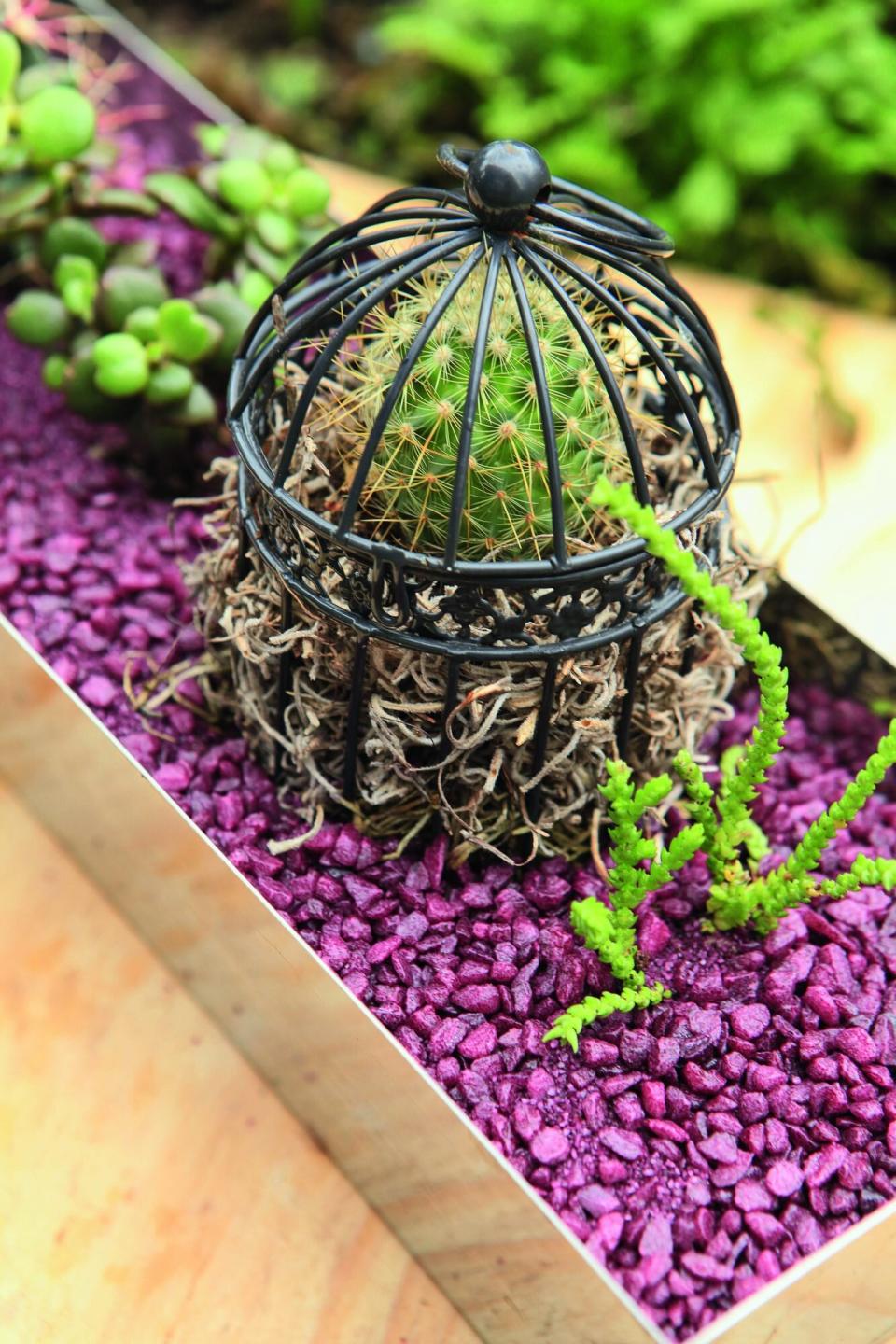 purple stones in garden planter box