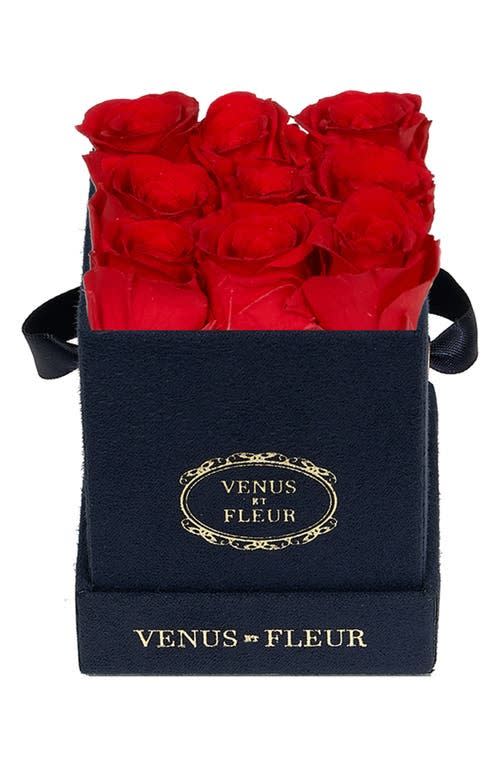 8) Classic Le Mini Eternity Roses