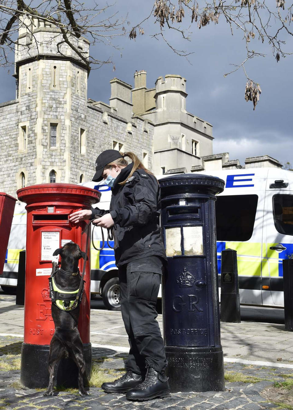 Undated handout photo issued by Thames Valley Police of police dog handler PC Camilla Carter and five-year-old Roxy, an unwanted Staffie which was rescued by RSPCA officers after being abandoned in 2017 and which has now become the only Staffie working as an explosives search dog in the UK helping to protect the royal family and the only type of her breed working in the Hampshire and Thames Valley police dog unit. Issue date: Tuesday June 1, 2021.