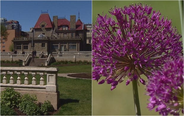 The Lougheed House is hoping to raise $25,000 to put toward maintaining its historic gardens. (Mike Symington/CBC - image credit)