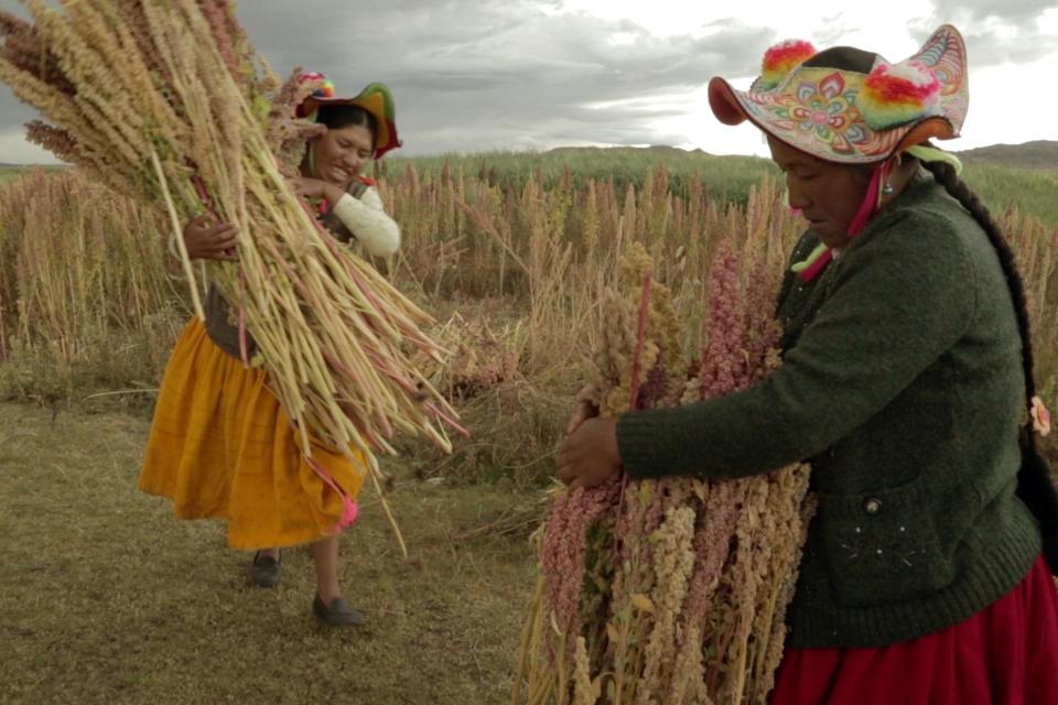 Mothers of the Land