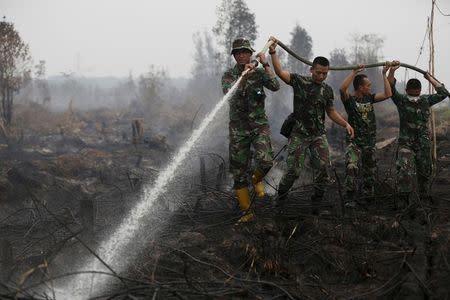 Indonesian soldiers spray water on peatland fire in Pulang Pisau regency east of Palangkaraya, Central Kalimantan, Indonesia in this October 29, 2015 file photo. REUTERS/Darren Whiteside/Files