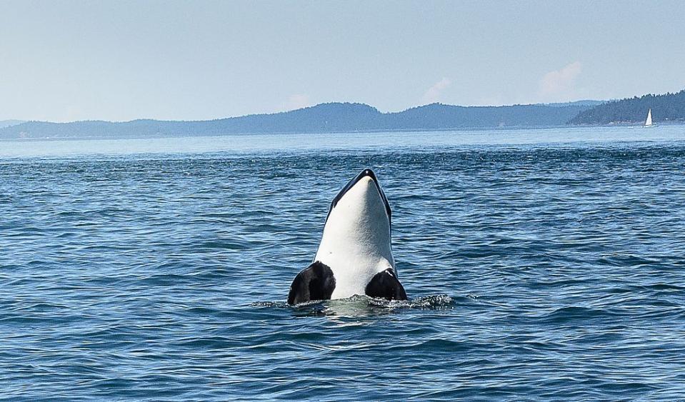 San Juan Islands, Washington