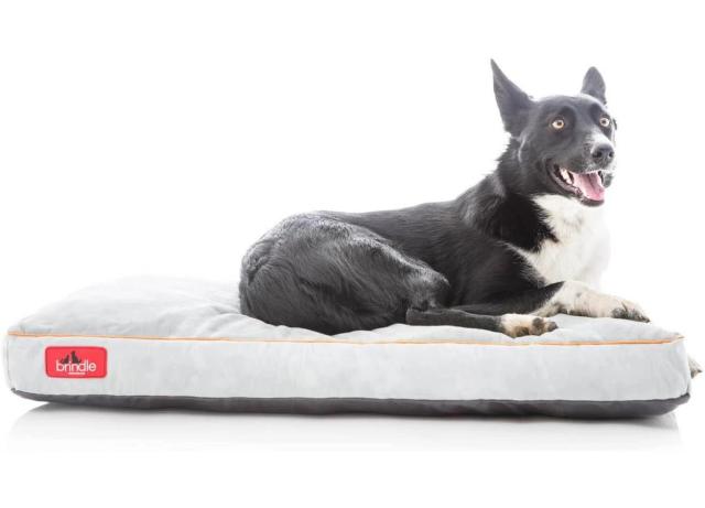 Organic Dog Bed by Avocado - Large/ X-Large - Mailman Blue