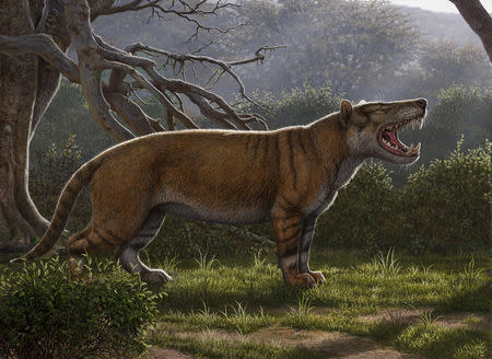 Simbakubwa kutokaafrika, a gigantic mammalian carnivore that lived 22 million years ago in Africa and was larger than a polar bear, is seen in this artist's illustration released in Athens, Ohio, U.S., on April 18, 2019. Courtesy Mauricio Anton/Handout via REUTERS