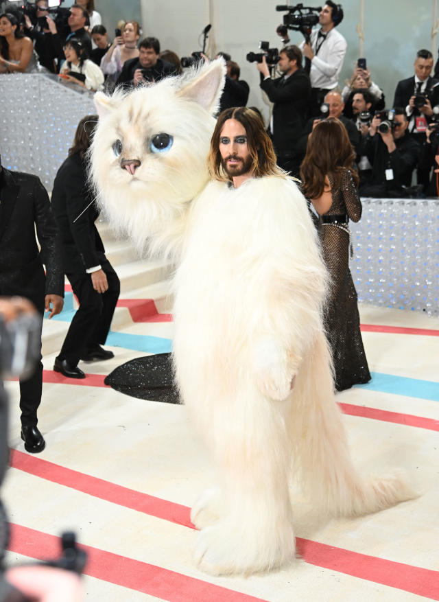 The 6 Biggest Surprises From the Met Gala Red Carpet