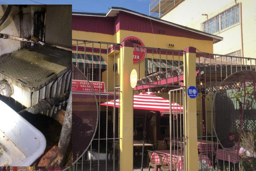 ¡Sancionan a Tonys Pizza en Tijuana por falta de higiene! Multa podría llegar hasta los 50 mil pesos