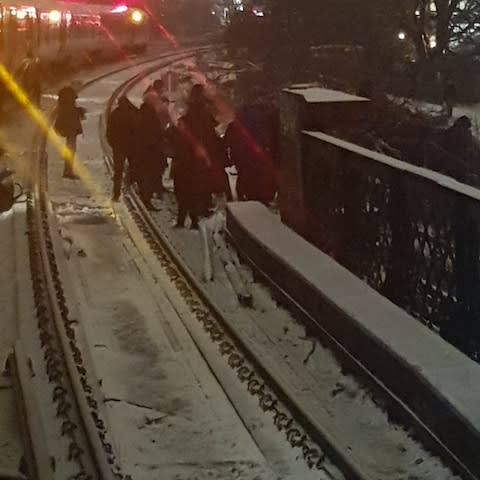 Passengers on the tracks at Lewisham station  - Credit: @KeimaPayton/Twitter