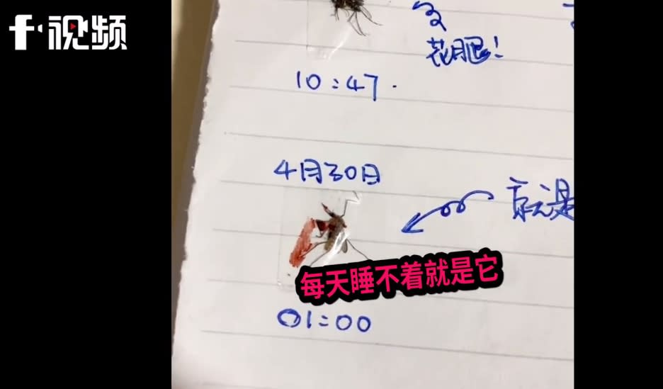 男網友突發奇想把打到的蚊子做成「殺蚊日記」。（圖／翻攝自《長沙政法頻道》微博）