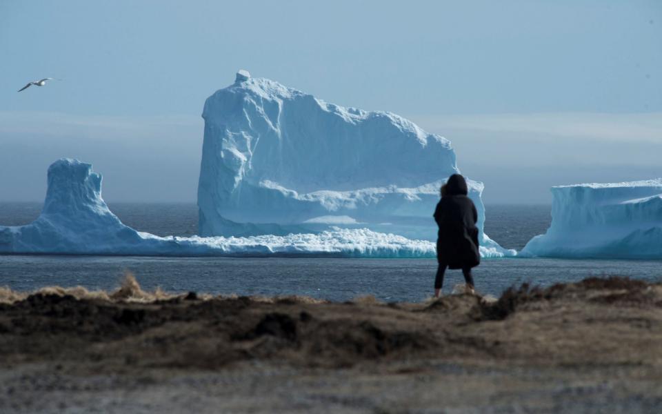 The first iceberg of the season as it passes the South Shore near Ferryland Newfoundland - Credit: Greg Locke/Retuters