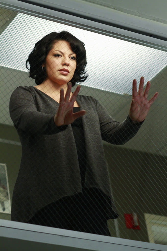 'Grey's Anatomy: The Music Event' Photos