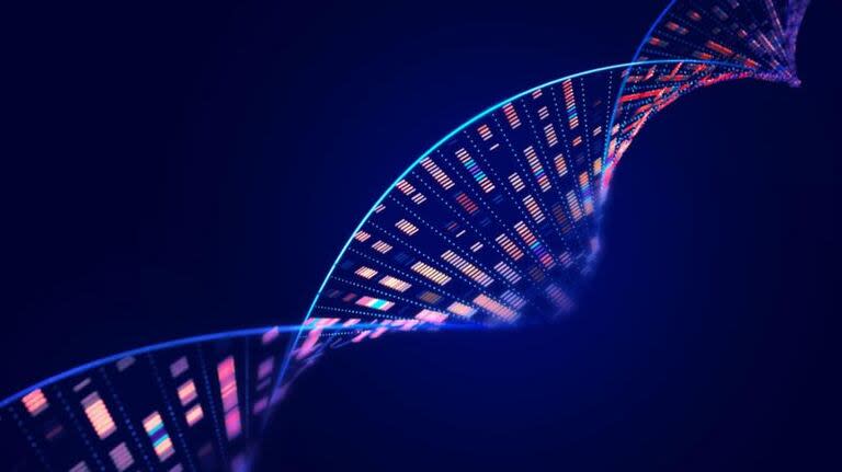 El Día Internacional del ADN se conmemora cada 25 de abril con el fin de celebrar uno de los hitos más importantes de la ciencia