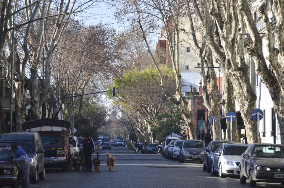 In this July 24, 2015 photo a canopy is formed by tree branches over a street in the Palermo Soho neighborhood of Buenos Aires, Argentina. The neighborhood offers a smaller scale and calmer vibe than some other Buenos Aires neighborhoods, including bike- and pedestrian-friendly streets, small shops and cafes. (AP Photo/Kristin Gazlay)