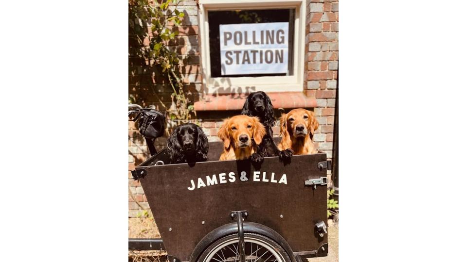 James Middleton's dogs at polling station