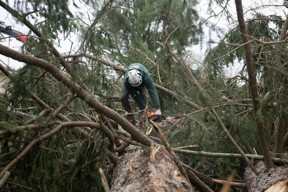 Gavin Currence, with Highpoint Tree Service, cuts part of a tree from Windham Cemetery that fell onto a neighboring residence on Friday, April 19, 2024.