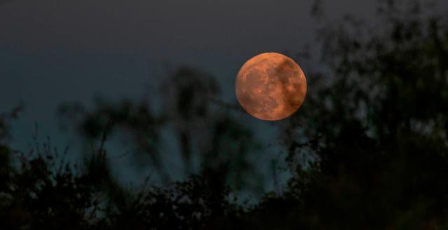 What is a 'Pink Moon'? Full moon rituals to blossom this spring - ABC News