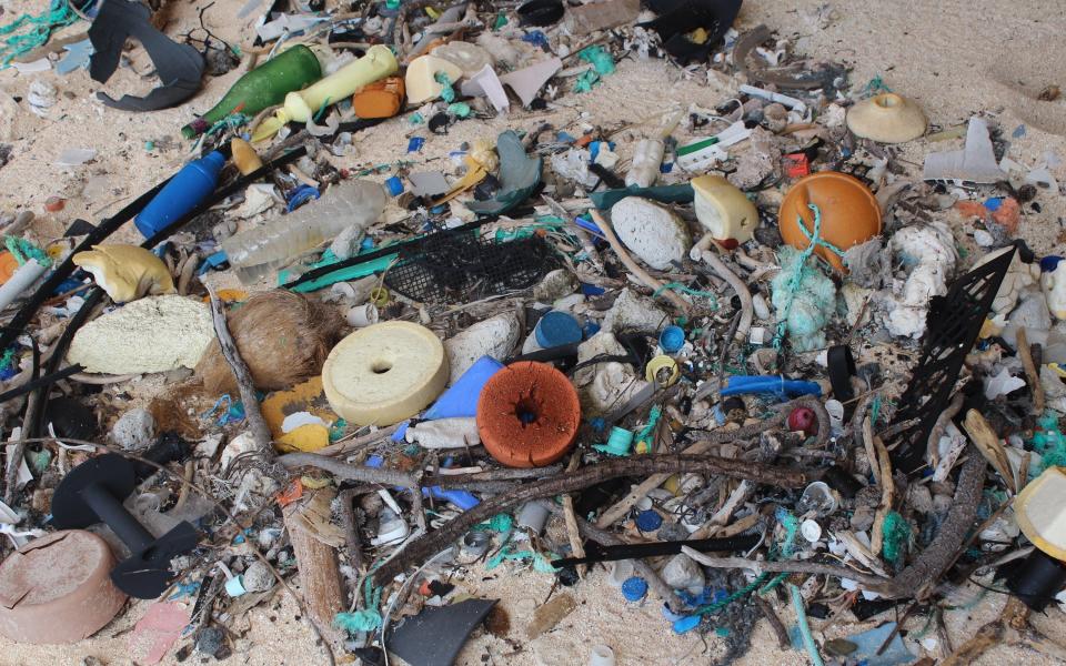 Plastic washed up on the British overseas territory of Henderson Island in the south Pacific  - Credit: Institute for Marine and Antarctic Studies 