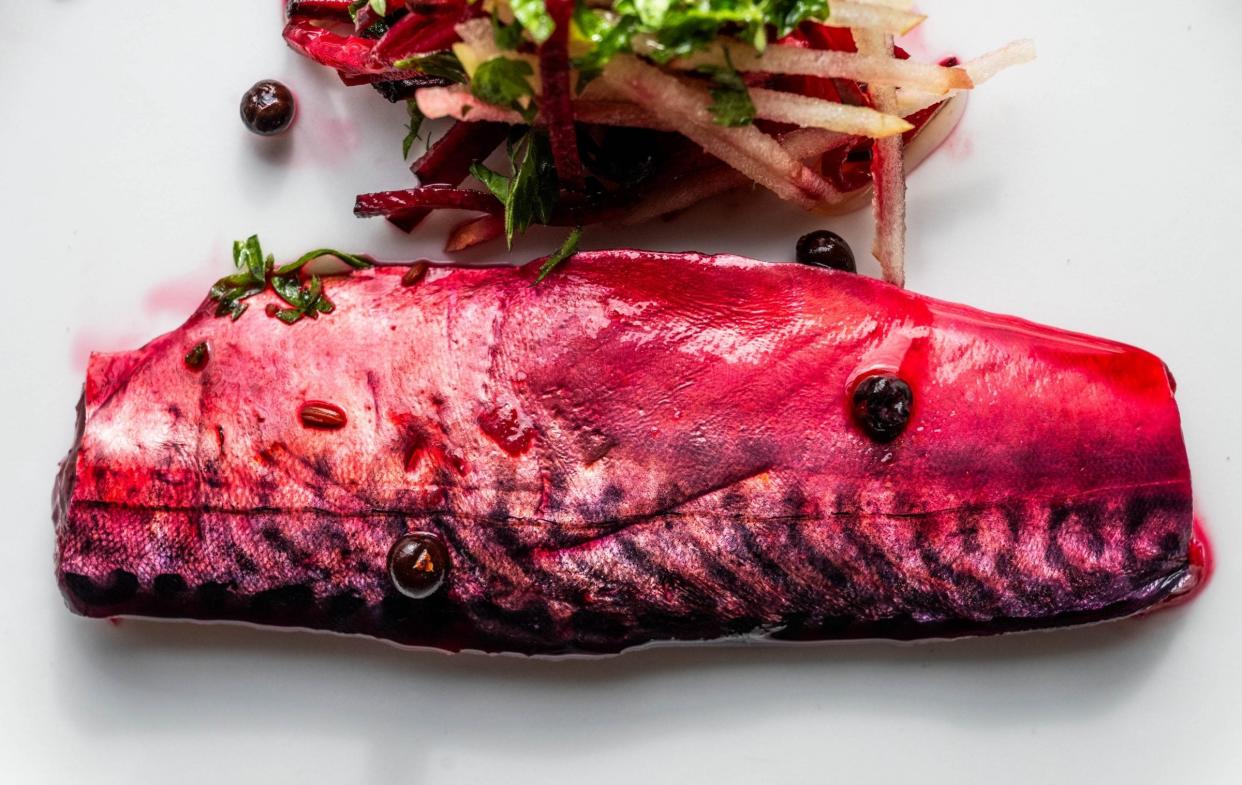 beetroot-cured mackerel