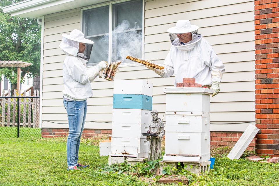Chillicothe High School student Haley Laughlin uses smoke to calm the bees as her and her dad Pat remove a comb from wooden boxes called hives in her back yard in Chillicothe Friday morning. Bees are part of Haley’s 4-H project that has grown into a family affair.  