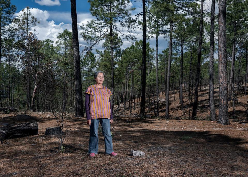 Isela Gonz&aacute;lez is head of the Sierra Madre Alliance, an organization that has defended indigenous rights in Mexico's Sierra Tarahumara for the last 20 years. (Photo: Thom Pierce | Guardian | Global Witness | UN Environment)